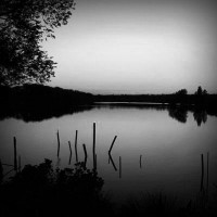 /album/davenpodssd/photolia-b01-jpg/